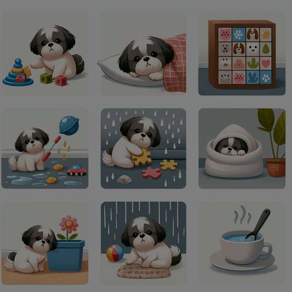 Quelles activités d'intérieur peuvent occuper un Shih Tzu durant les journées pluvieuses?